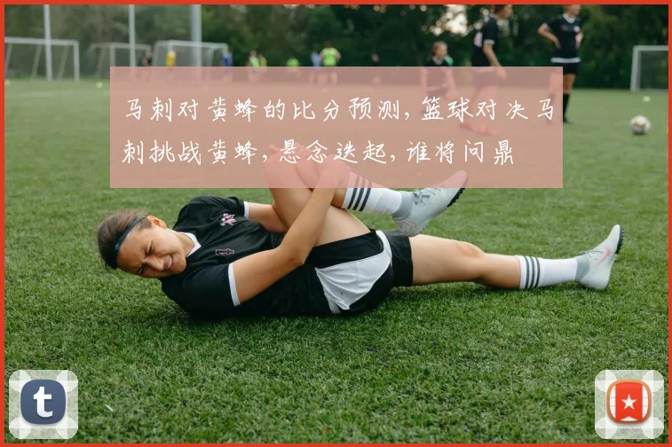 马刺对黄蜂的比分预测,篮球对决马刺挑战黄蜂,悬念迭起,谁将问鼎